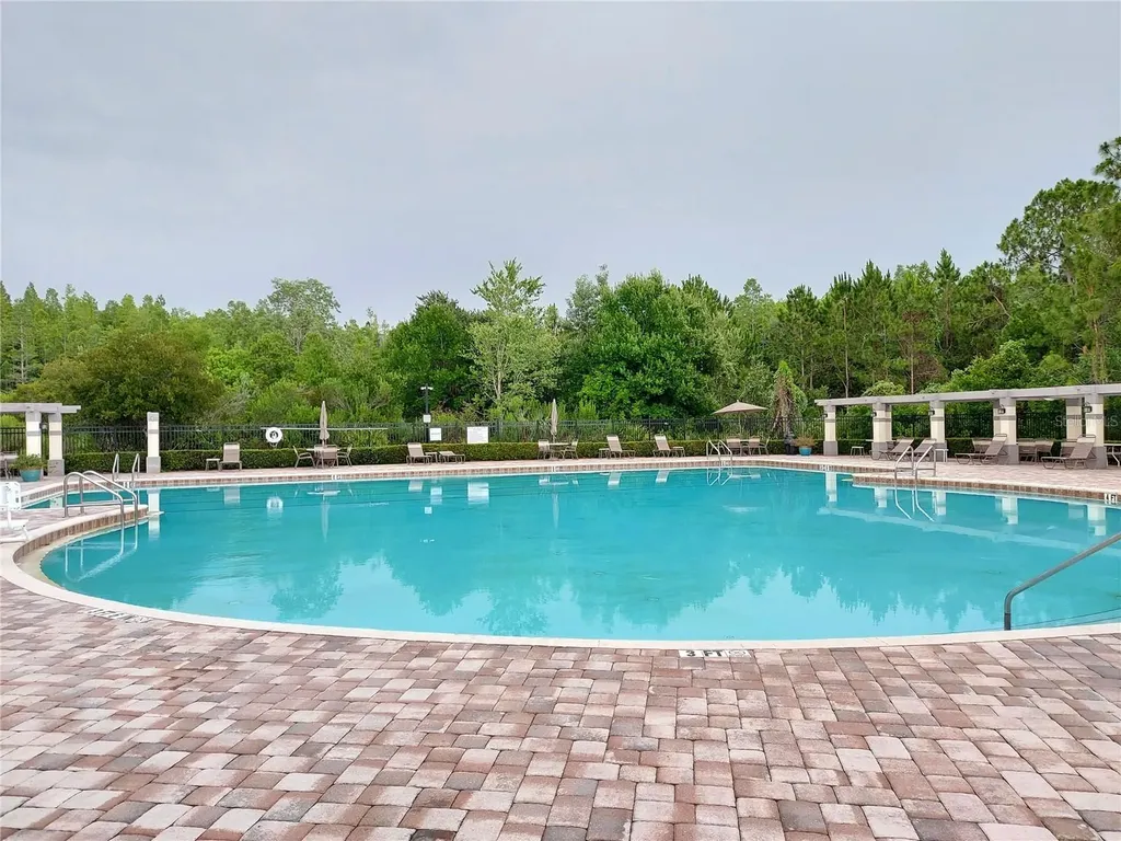 3124 Hilliard Drive Wesley Chapel FL 33543