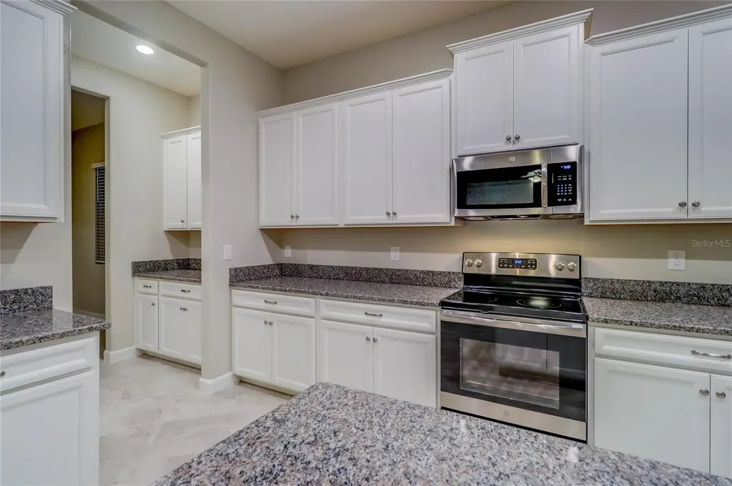 3124 Hilliard Drive Wesley Chapel FL 33543