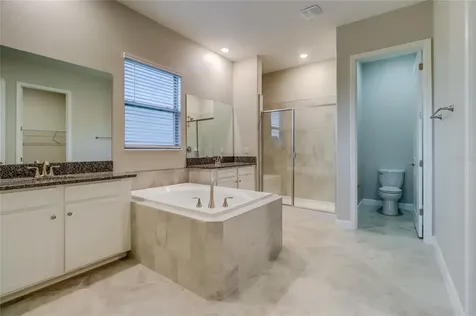 3124 Hilliard Drive Wesley Chapel FL 33543