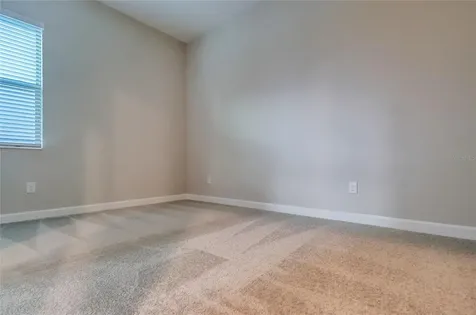 3124 Hilliard Drive Wesley Chapel FL 33543