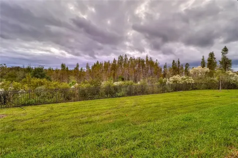 3124 Hilliard Drive Wesley Chapel FL 33543