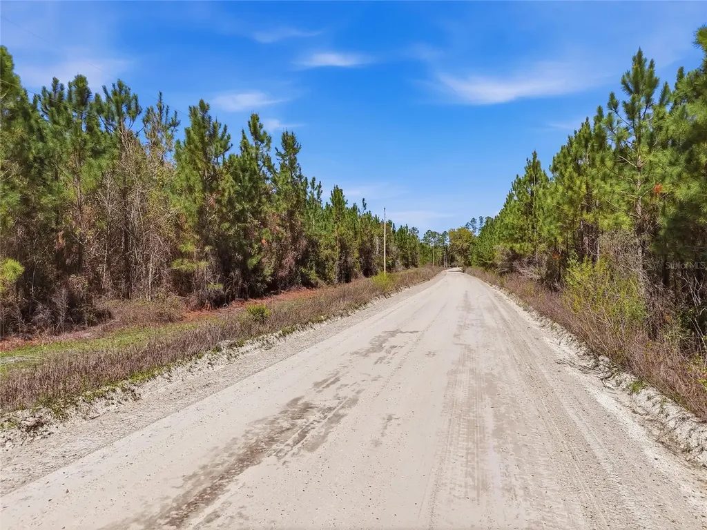 Tbd SE Pounds Hammock Road Lake City FL 32025