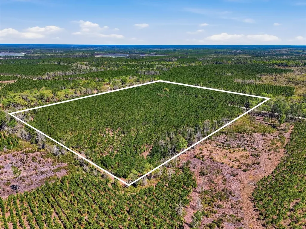 Tbd SE Pounds Hammock Road Lake City FL 32025