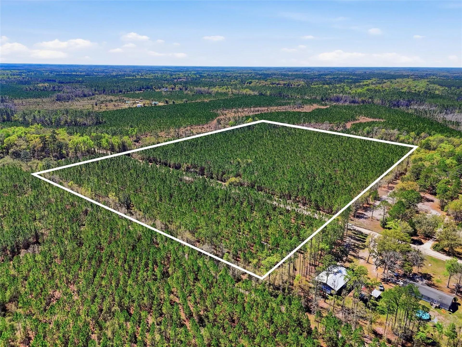 Tbd SE Pounds Hammock Road Lake City FL 32025