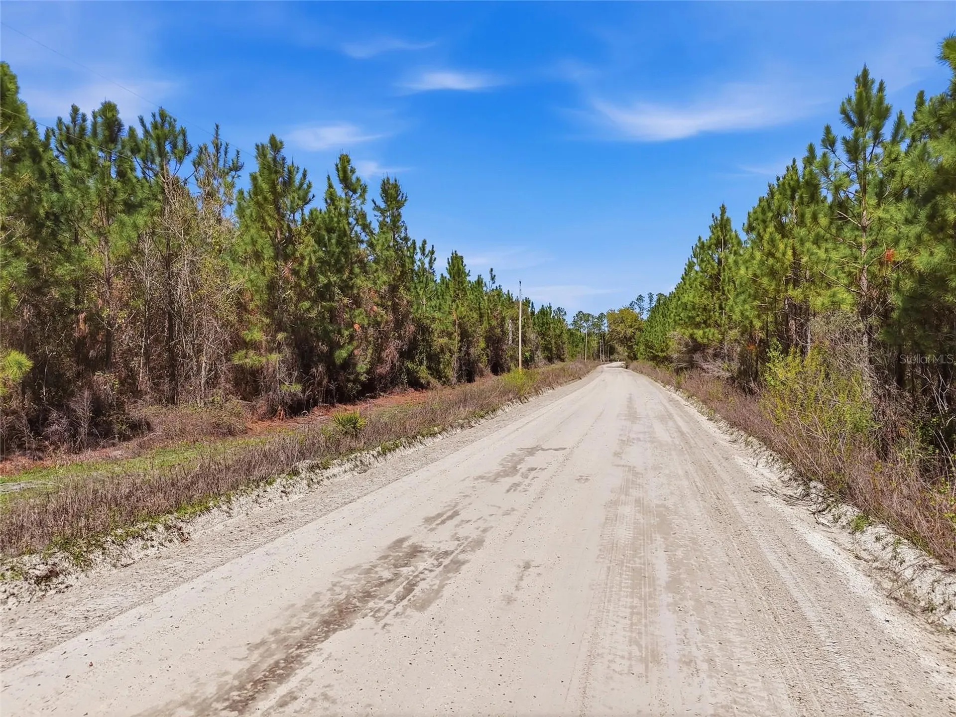 Tbd SE Pounds Hammock Road Lake City FL 32025