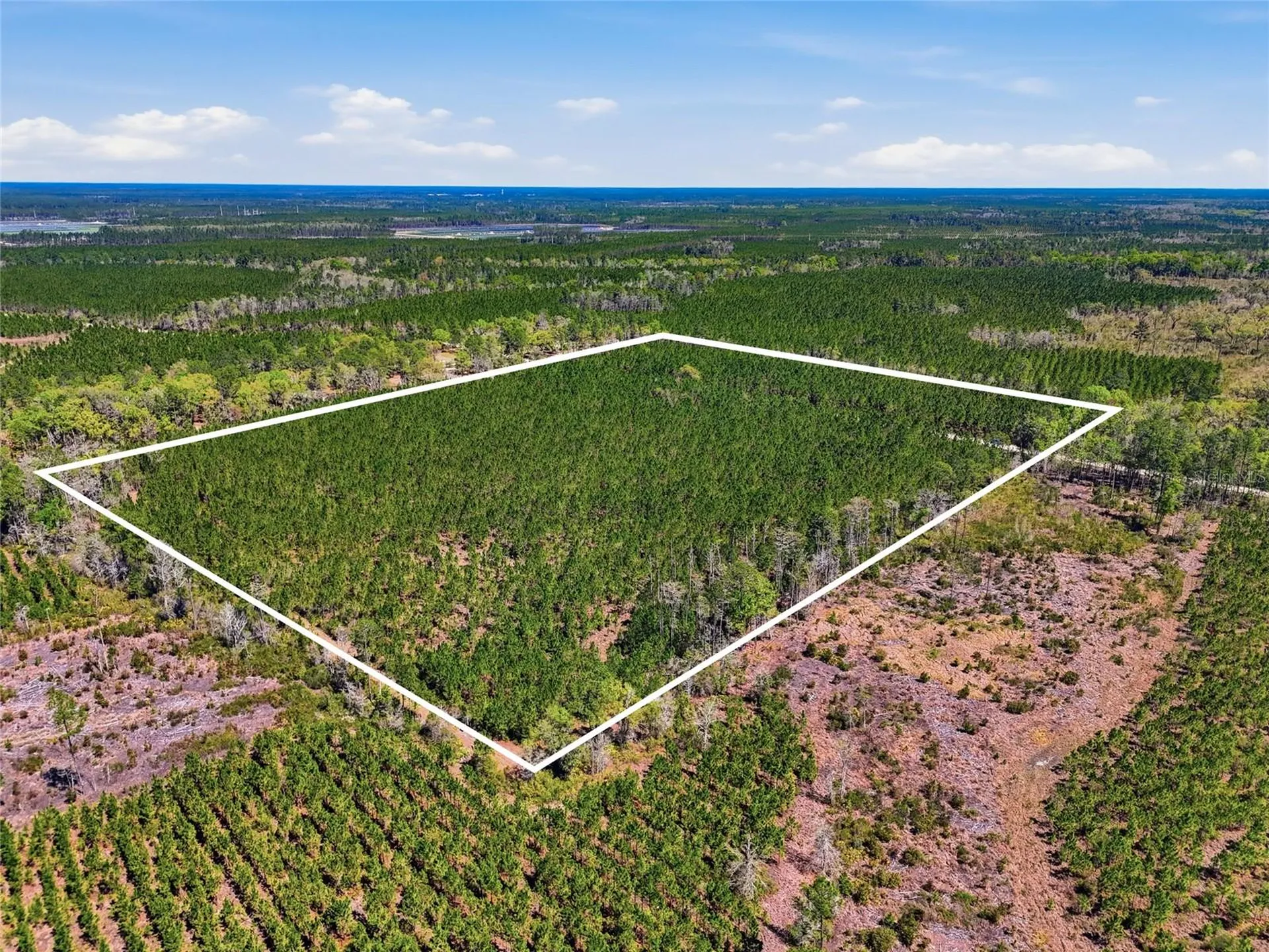 Tbd SE Pounds Hammock Road Lake City FL 32025
