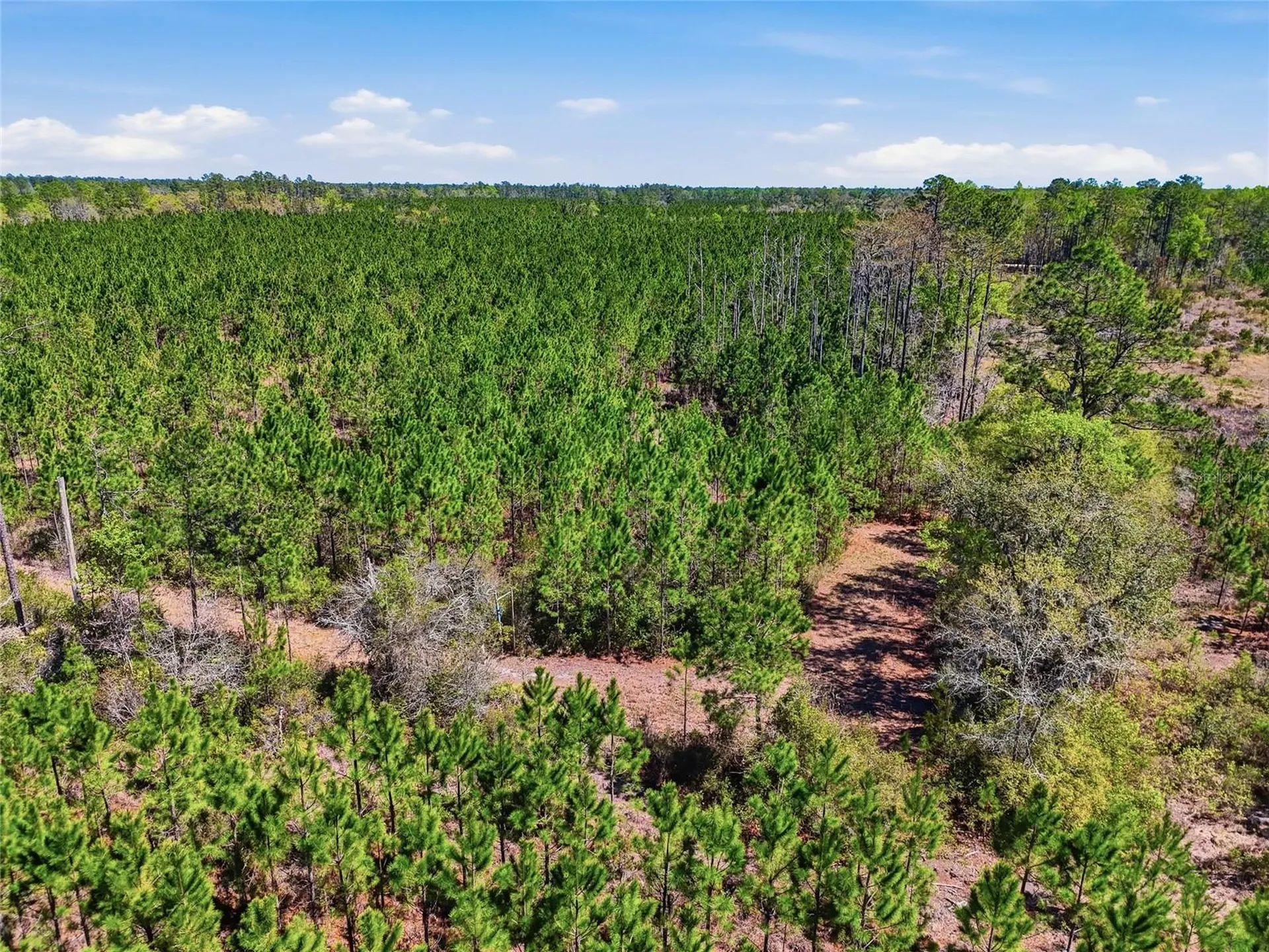 Tbd SE Pounds Hammock Road Lake City FL 32025