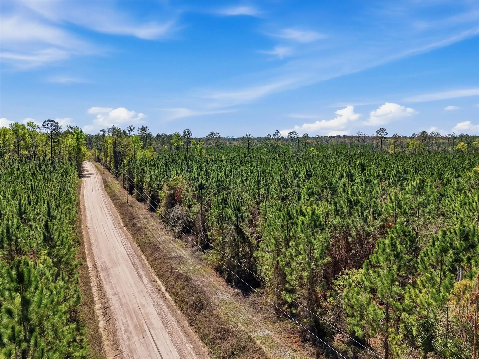 Tbd SE Pounds Hammock Road Lake City FL 32025
