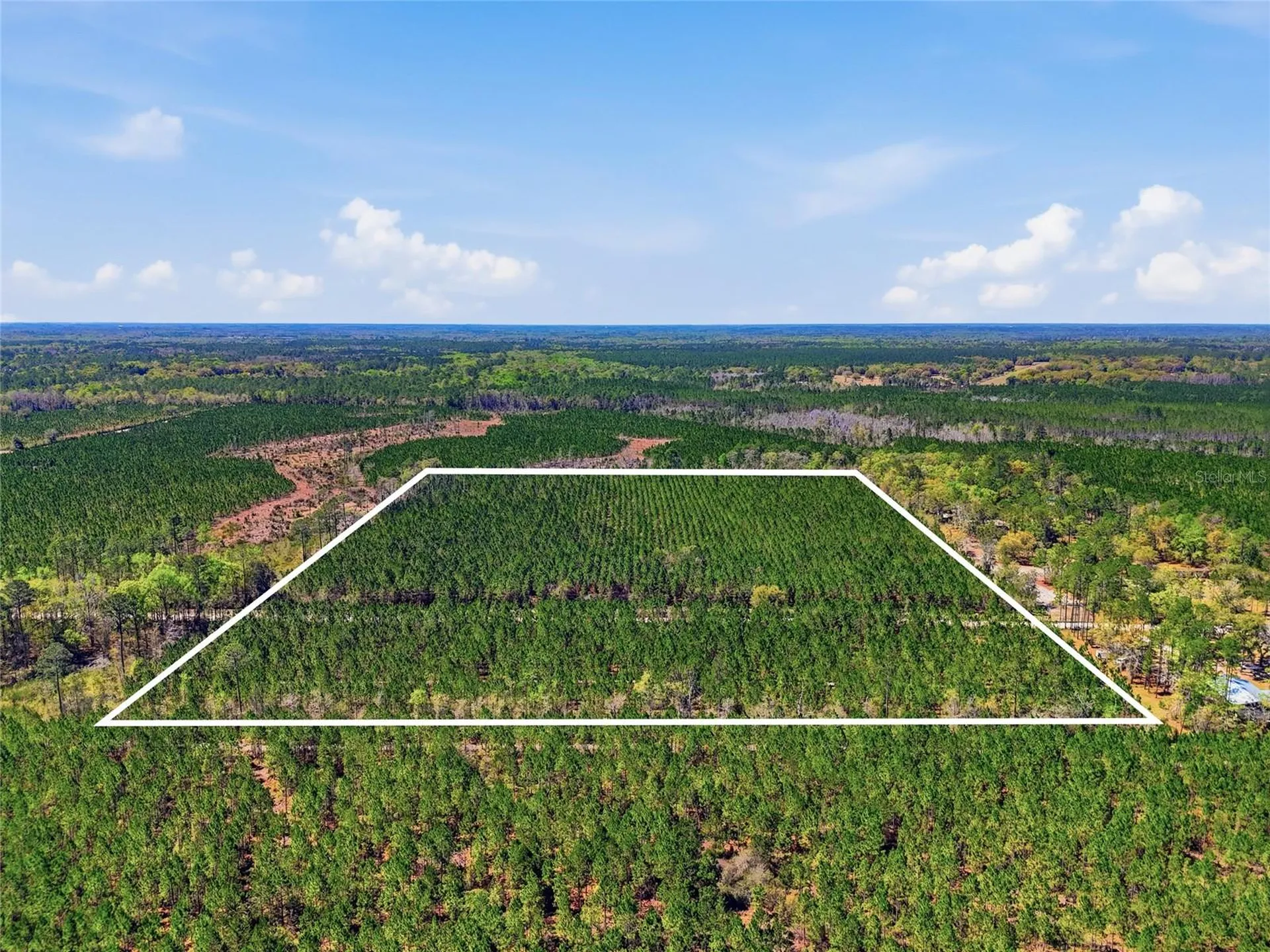 Tbd SE Pounds Hammock Road Lake City FL 32025