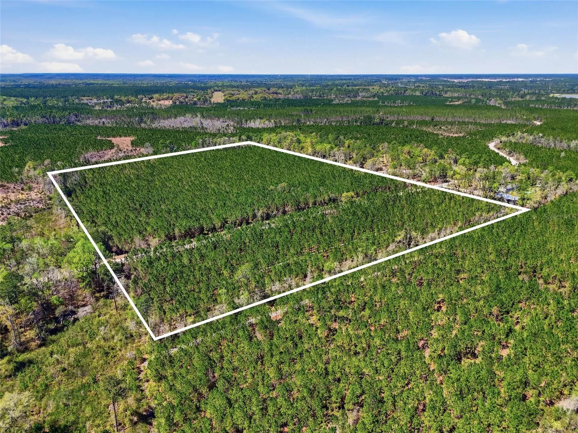 Tbd SE Pounds Hammock Road Lake City FL 32025