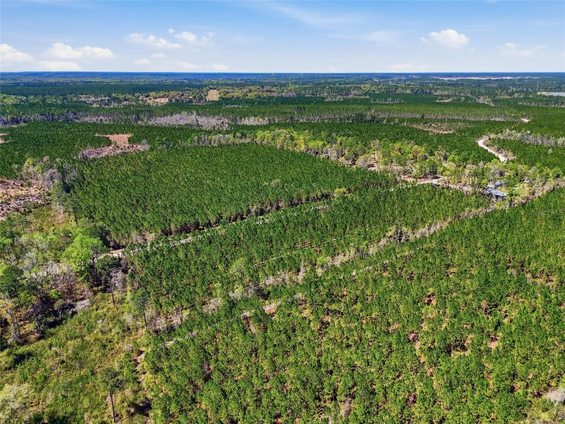 Tbd SE Pounds Hammock Road Lake City FL 32025