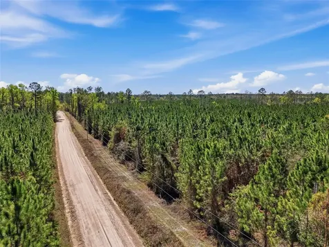 Tbd SE Pounds Hammock Road Lake City FL 32025