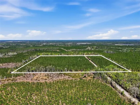 Tbd SE Pounds Hammock Road Lake City FL 32025