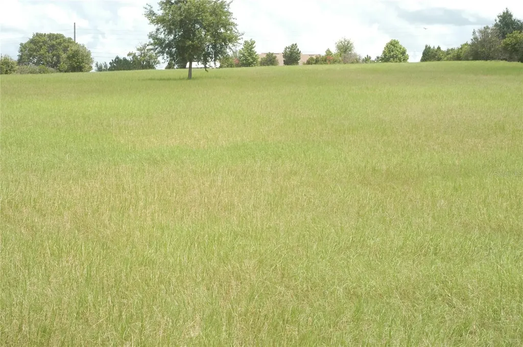 22435 County Road 455 Howey In The Hills FL 34737