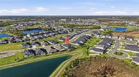 31605 Westbury Estates Avenue Wesley Chapel FL 33545