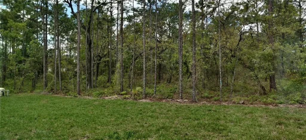16295 Pomp Parkway Weeki Wachee FL 34614