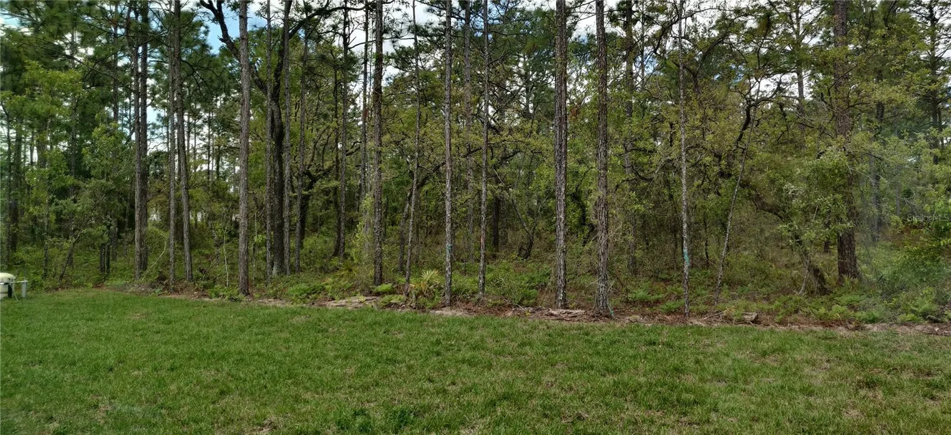 16295 Pomp Parkway Weeki Wachee FL 34614