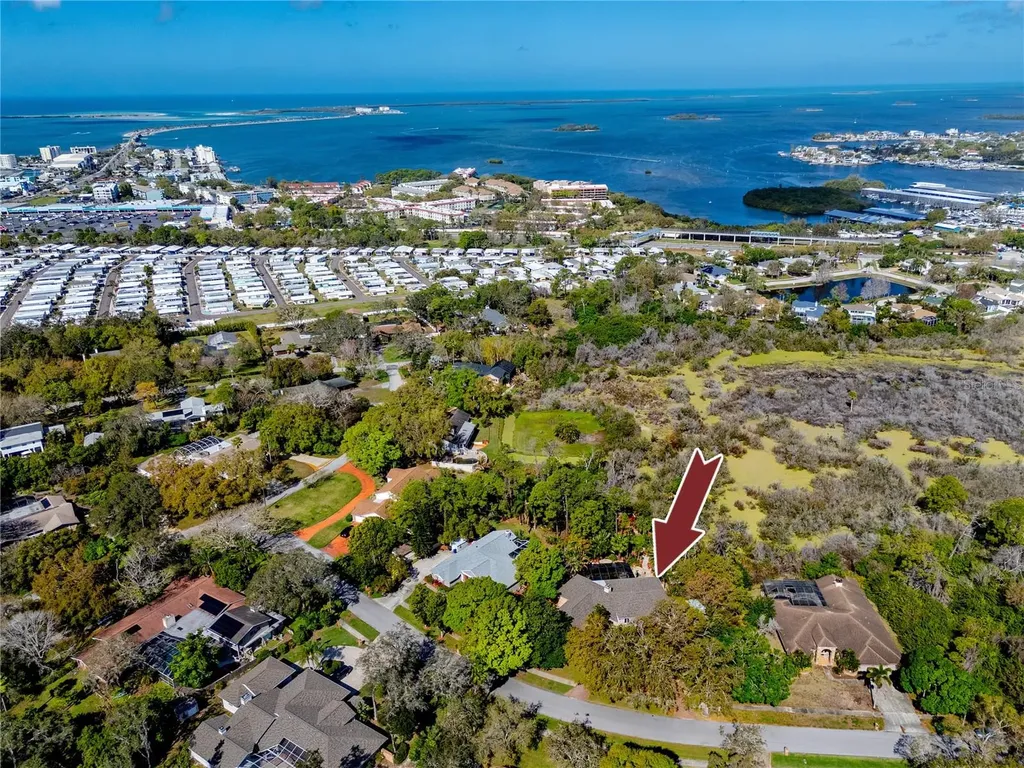 2780 Long Putt Court Palm Harbor FL 34683