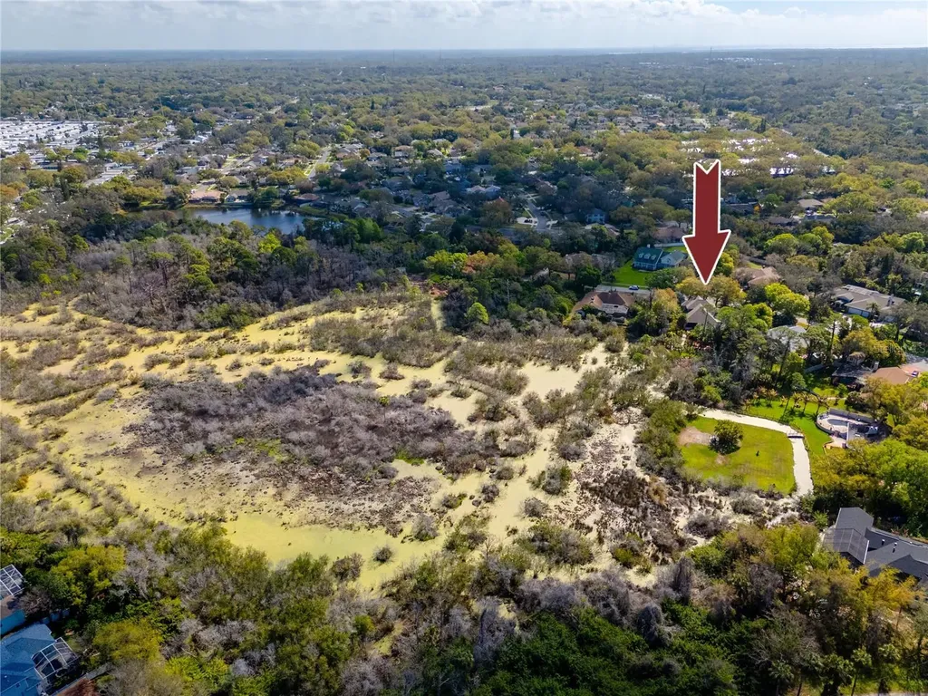 2780 Long Putt Court Palm Harbor FL 34683