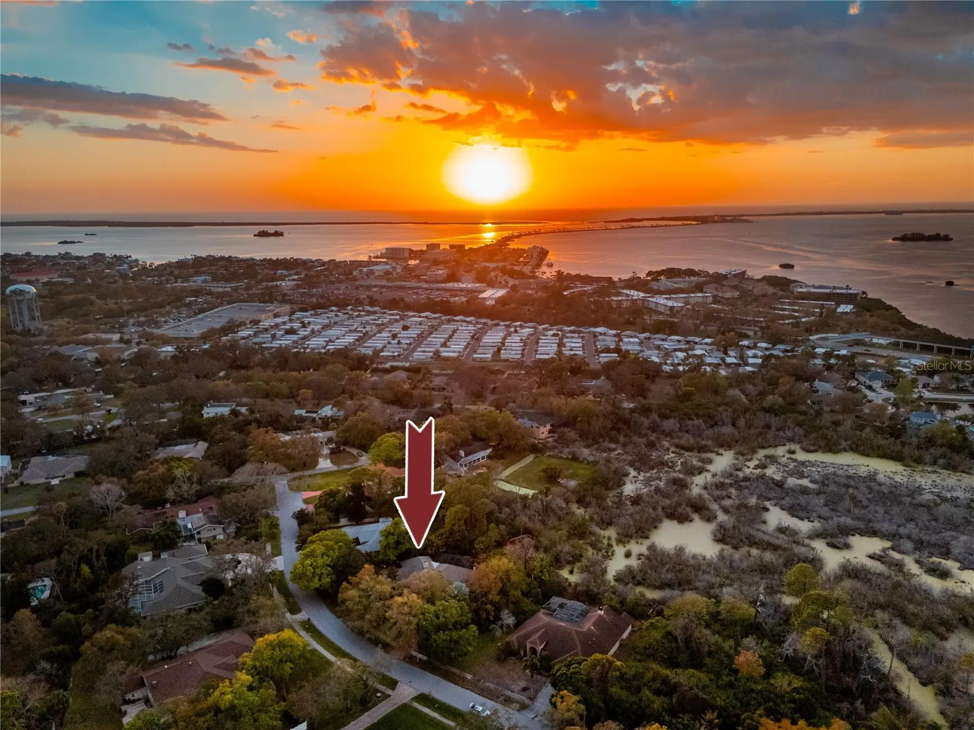 2780 Long Putt Court Palm Harbor FL 34683