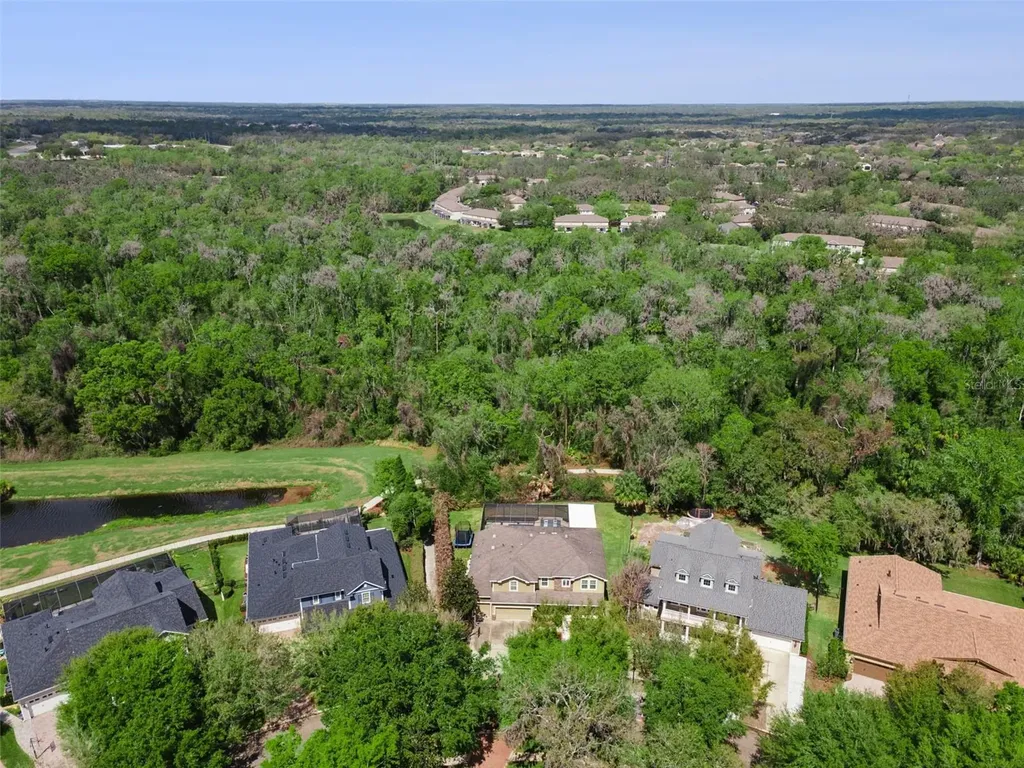 15940 Ternglade Drive Lithia FL 33547