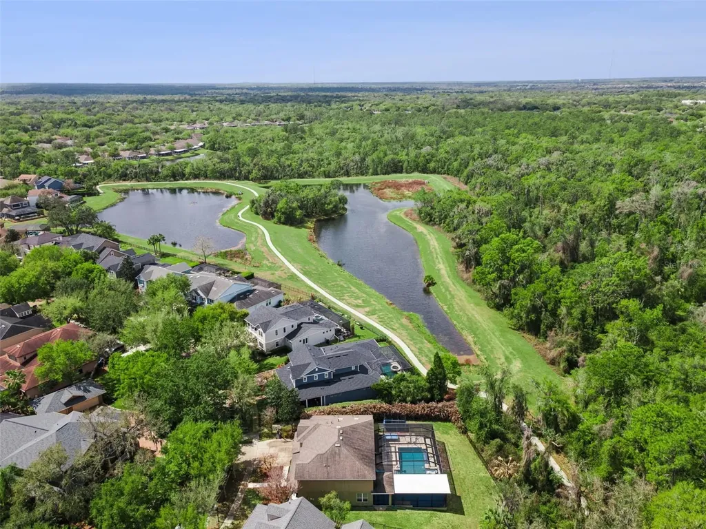 15940 Ternglade Drive Lithia FL 33547
