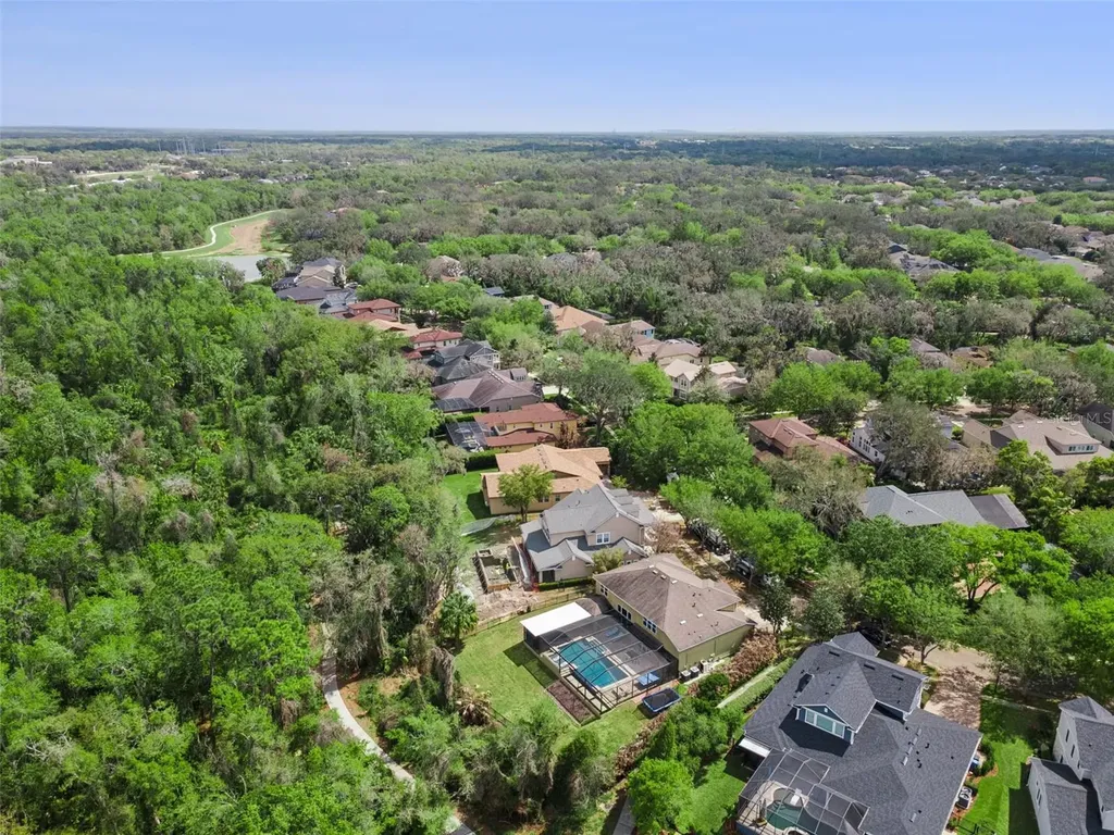 15940 Ternglade Drive Lithia FL 33547