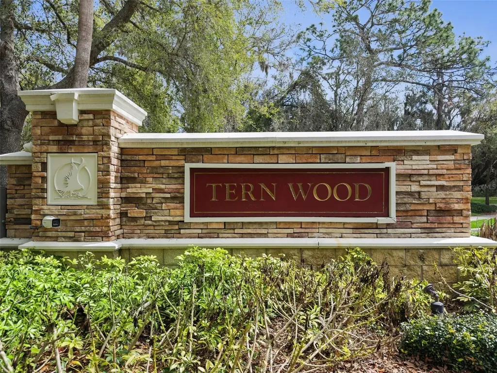 15940 Ternglade Drive Lithia FL 33547