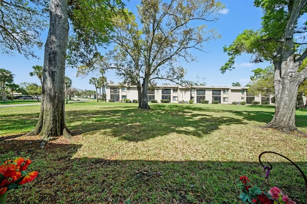 303 Martha Lane Oldsmar FL 34677