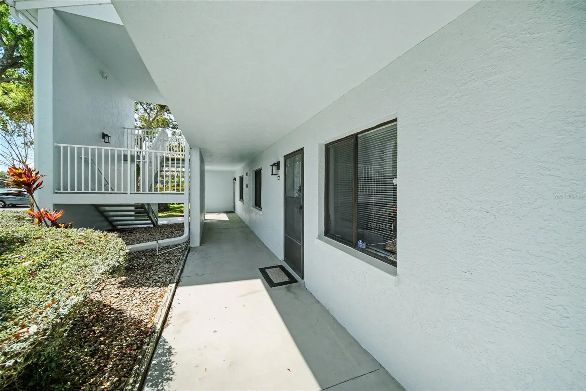 303 Martha Lane Oldsmar FL 34677