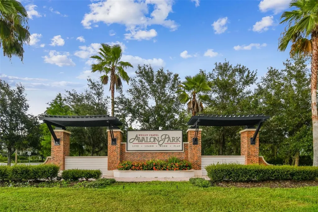 33083 Frosted Clover Way Wesley Chapel FL 33545