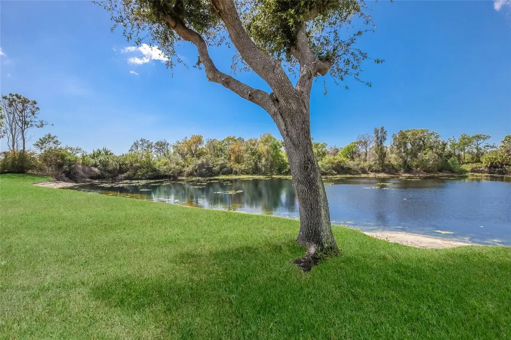 8428 Misty Morning Court Lakewood Ranch FL 34202