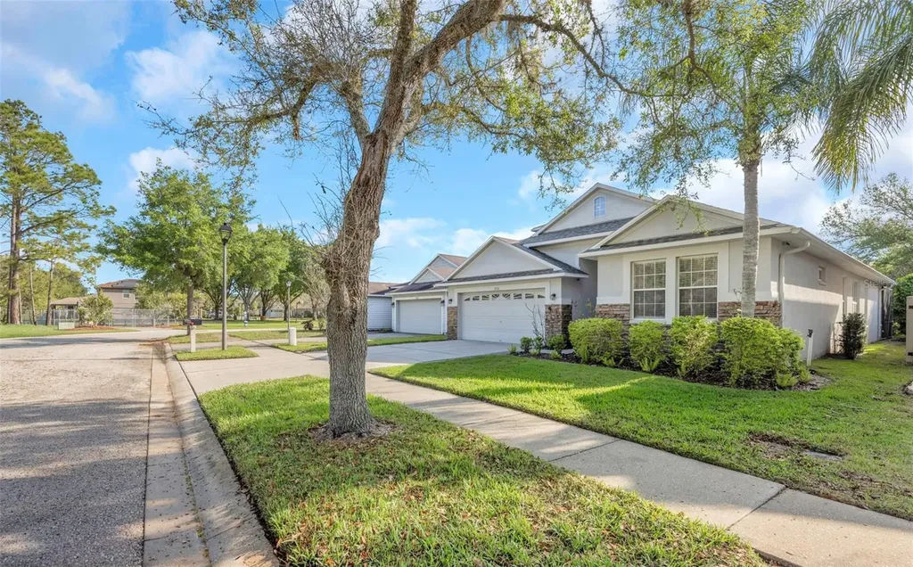 7754 Stoneleigh Drive Land O Lakes FL 34637