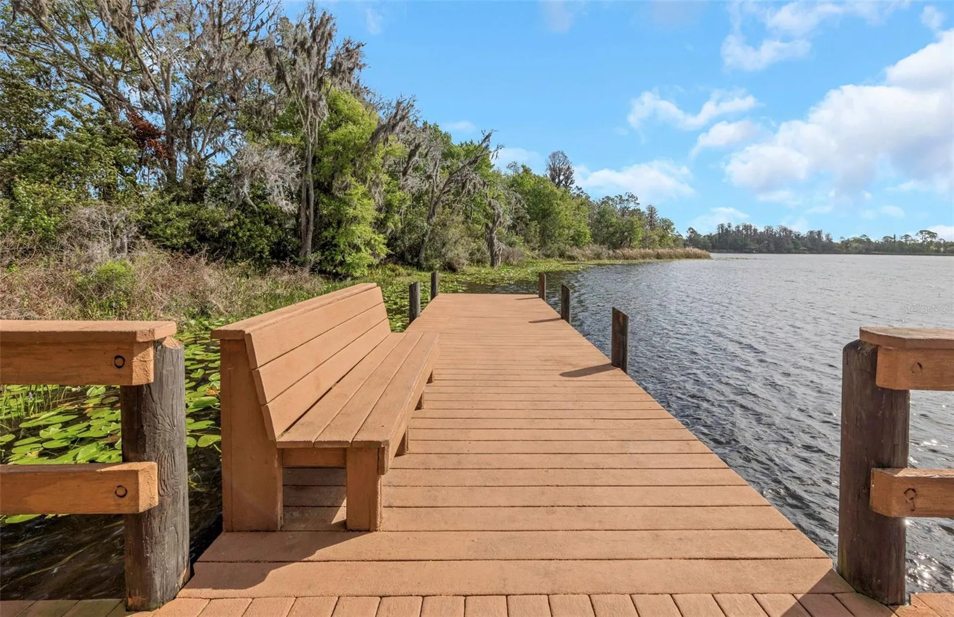 7754 Stoneleigh Drive Land O Lakes FL 34637