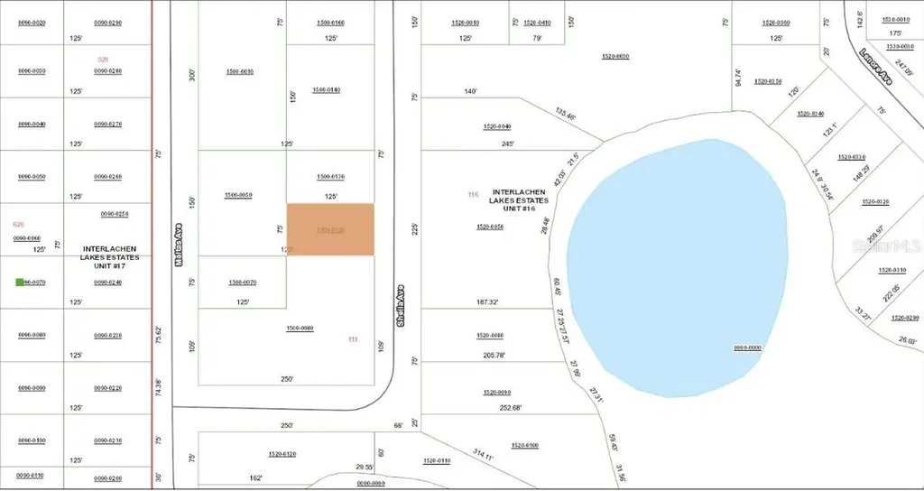 Tbd Sheila Avenue Interlachen FL 32148
