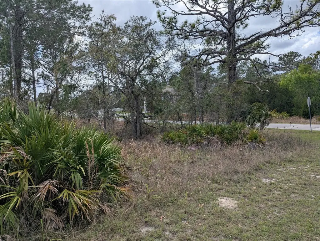 0 Mazette Road Weeki Wachee FL 34613