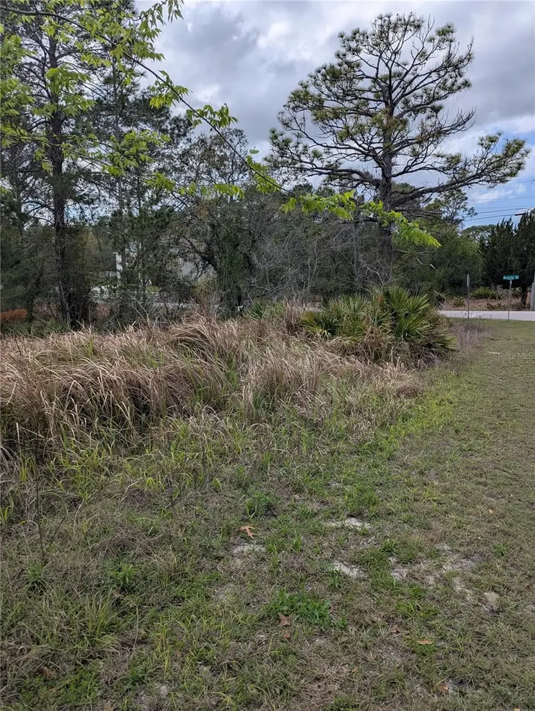0 Mazette Road Weeki Wachee FL 34613