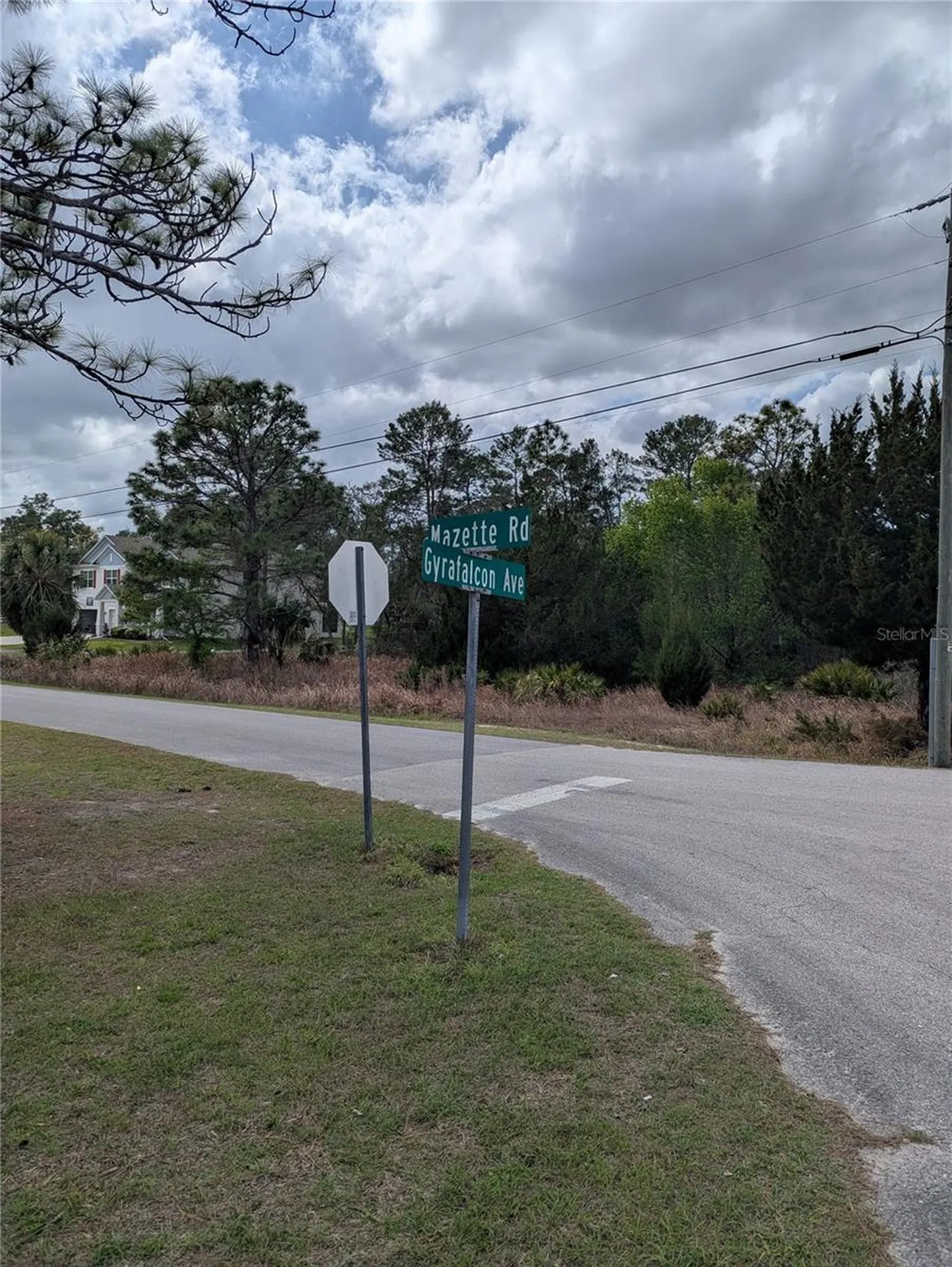 0 Mazette Road Weeki Wachee FL 34613