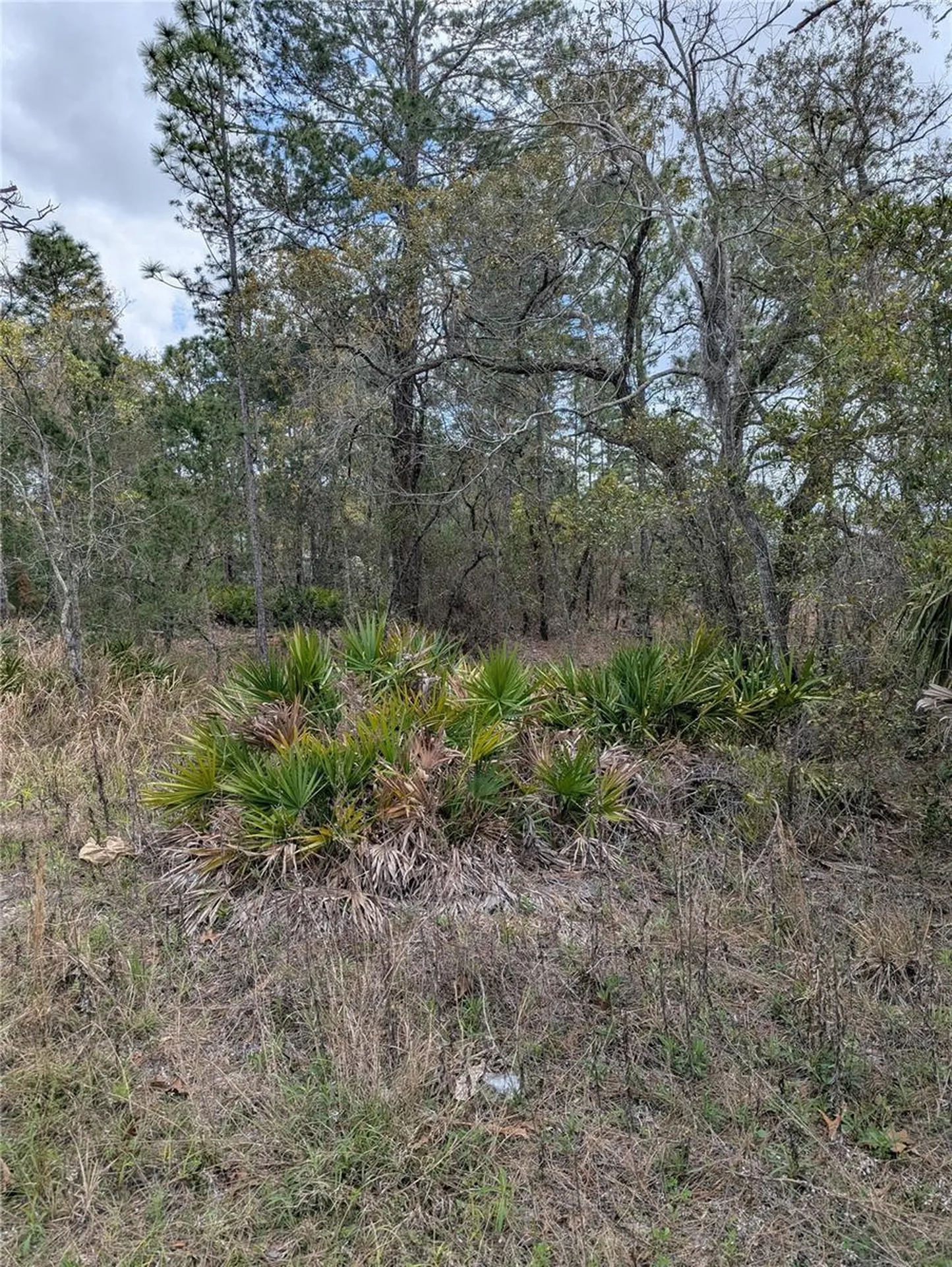 0 Mazette Road Weeki Wachee FL 34613