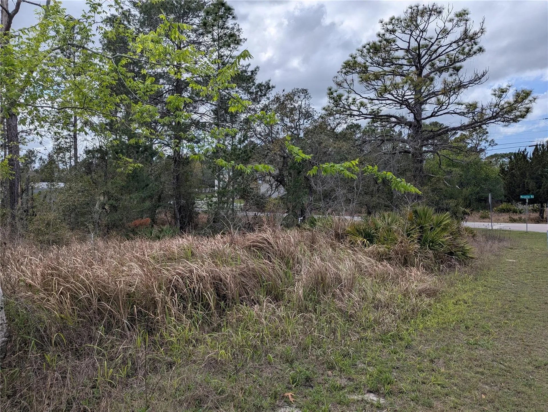 0 Mazette Road Weeki Wachee FL 34613