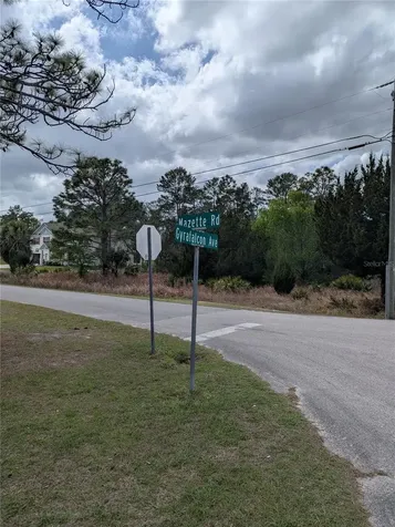 0 Mazette Road Weeki Wachee FL 34613