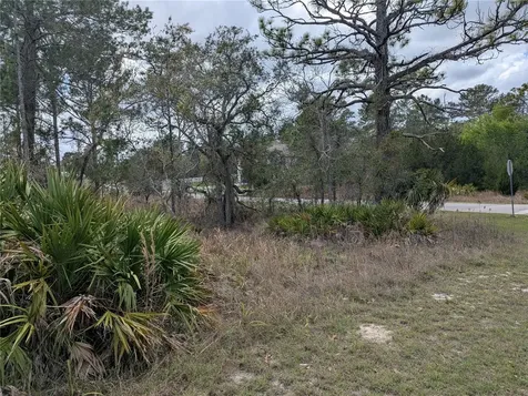0 Mazette Road Weeki Wachee FL 34613