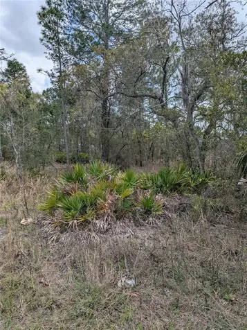 0 Mazette Road Weeki Wachee FL 34613