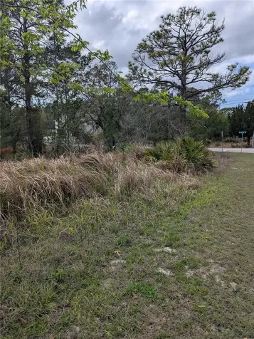0 Mazette Road Weeki Wachee FL 34613