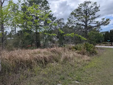 0 Mazette Road Weeki Wachee FL 34613