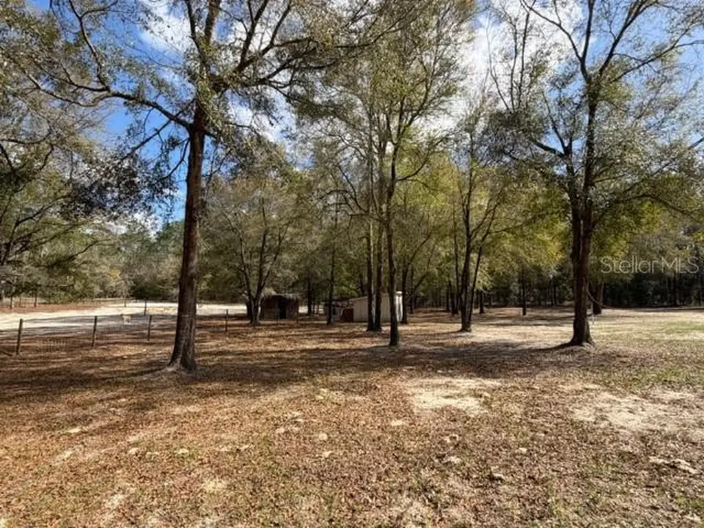 357 SW Conestoga Way Fort White FL 32038
