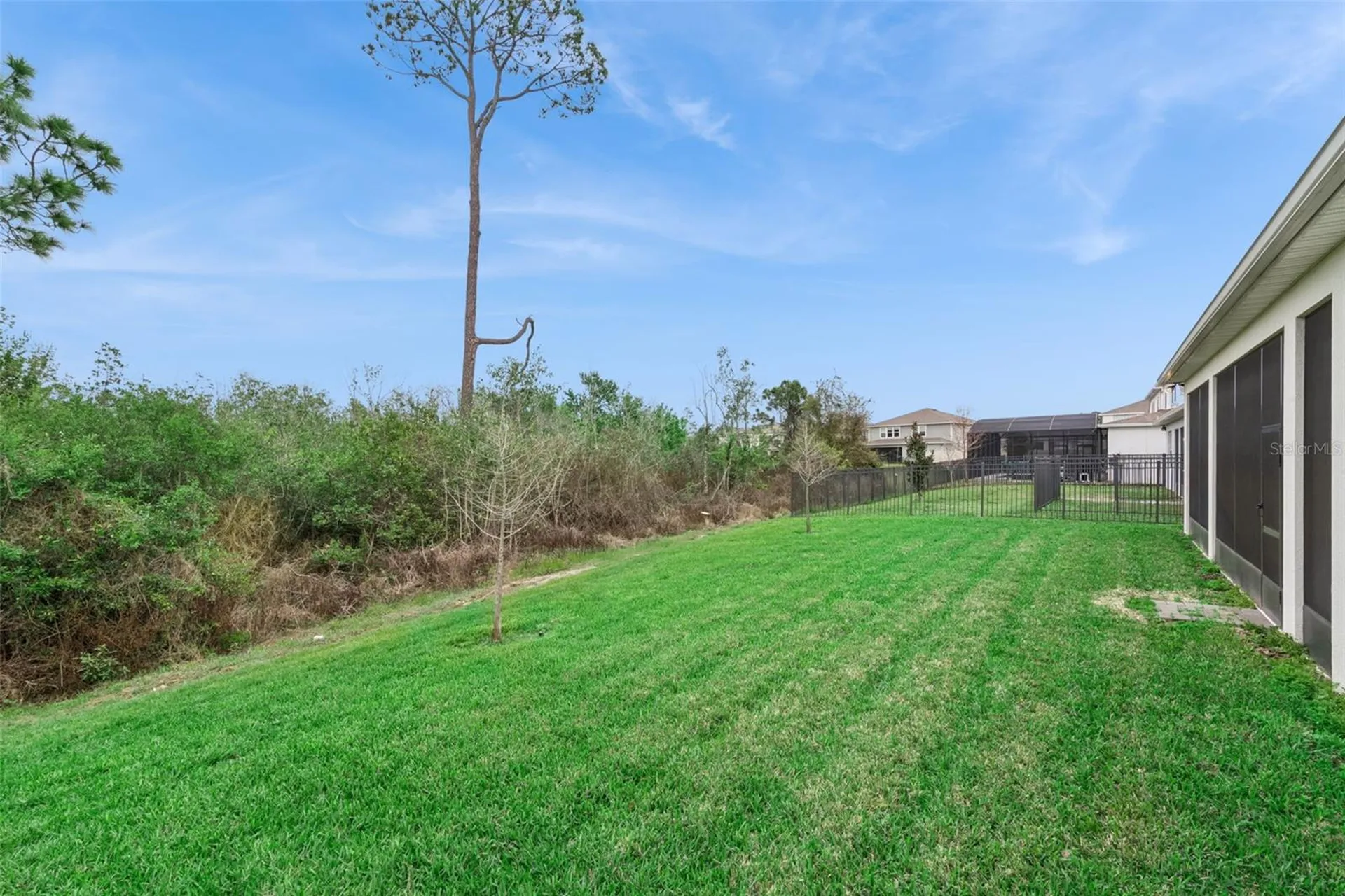 2502 Alligator Flag Court Clermont FL 34714