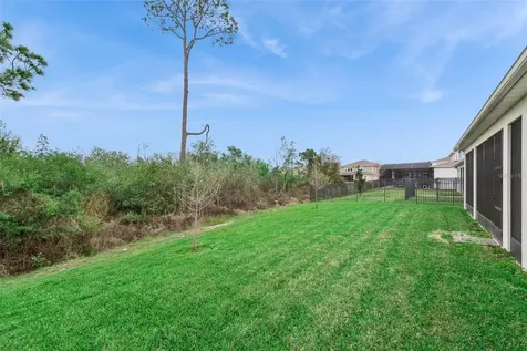 2502 Alligator Flag Court Clermont FL 34714