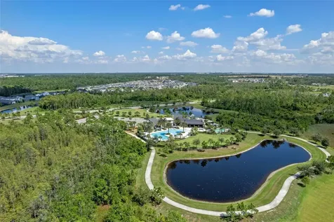 2502 Alligator Flag Court Clermont FL 34714