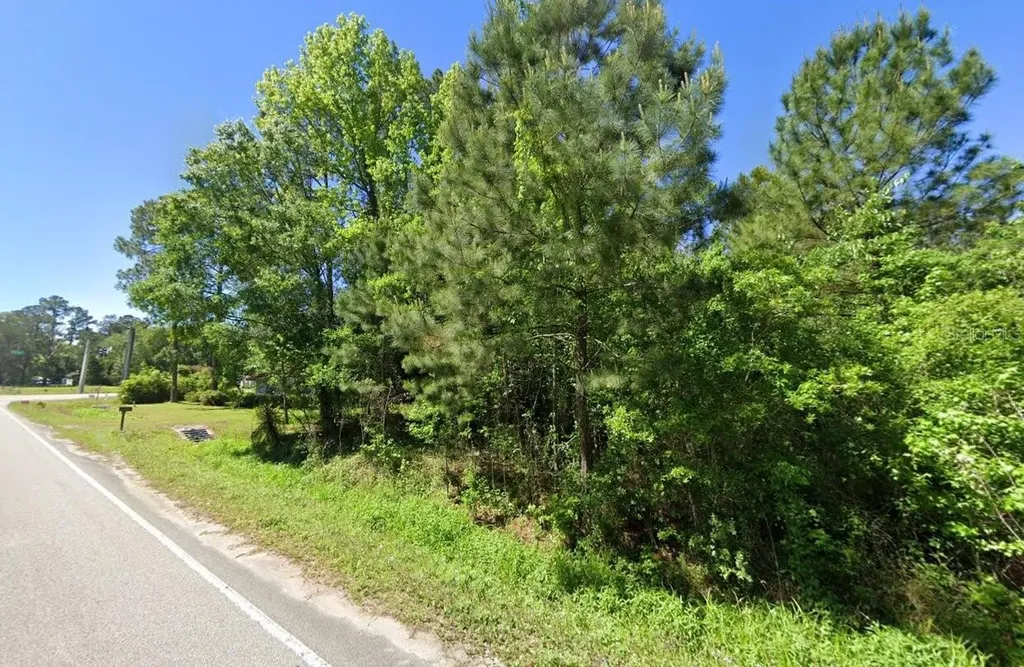 Baxley Road Middleburg FL 32068